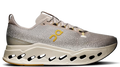 Running Cloudsurfer Max Cinder Pelican