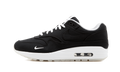 Air Max 1 "DSM" AH8051 001