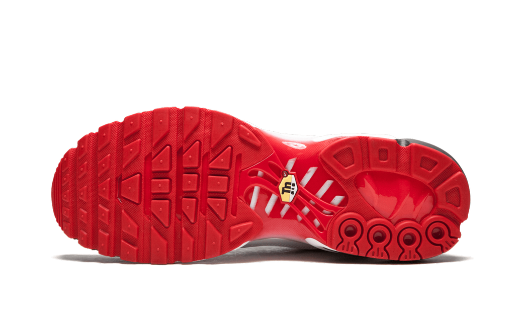 Air Max Plus TN SE AQ0237 100