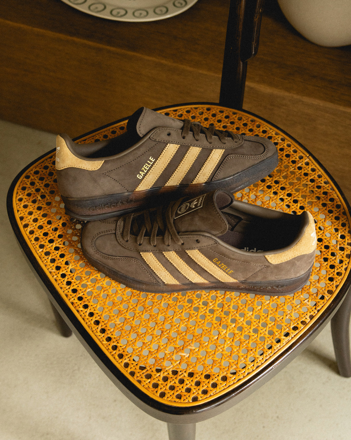 Gazelle Indoor