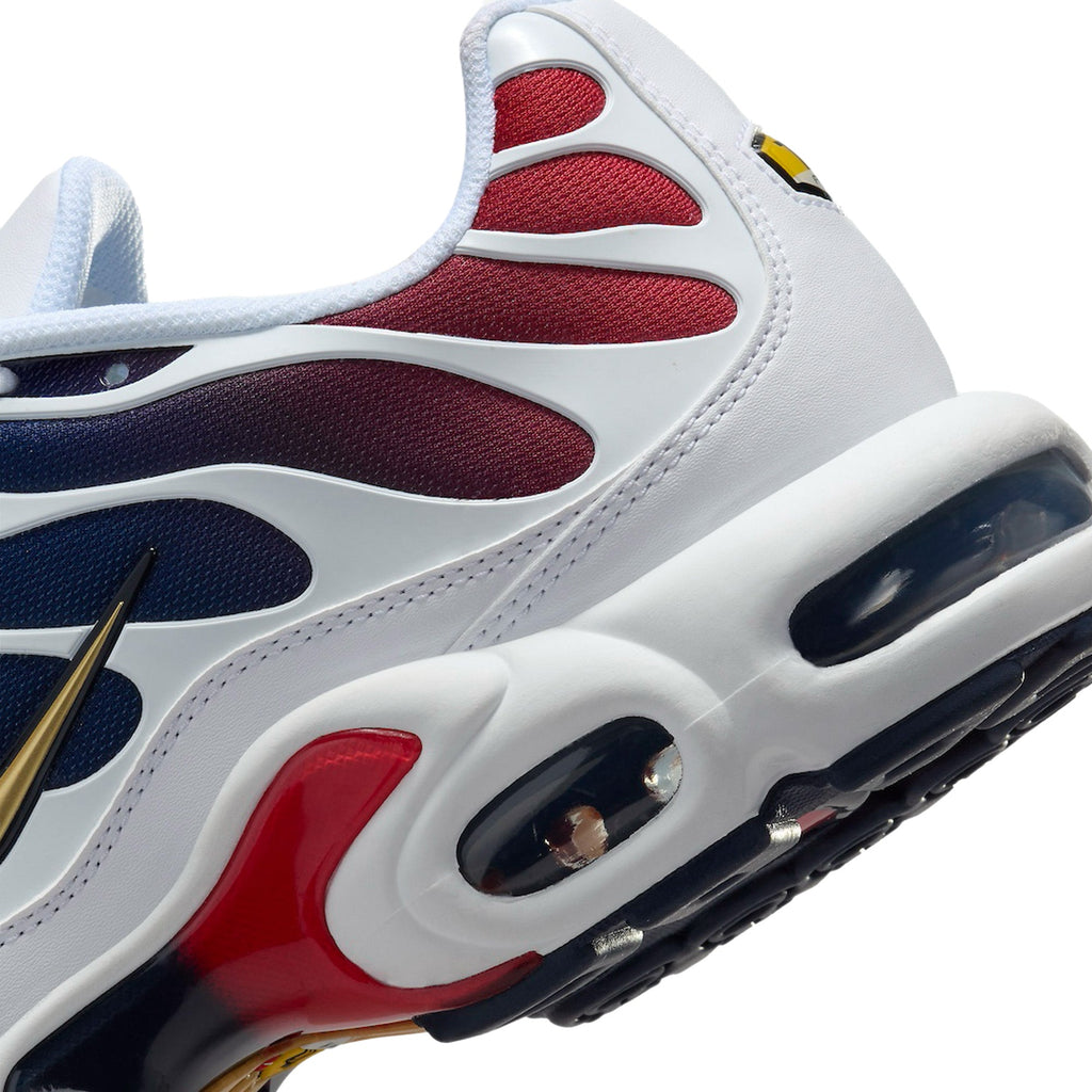 Air Max Plus TN x Paris Saint Germain 'Home Kit' (2024)