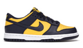 Dunk Low Michigan (2021) (GS)
