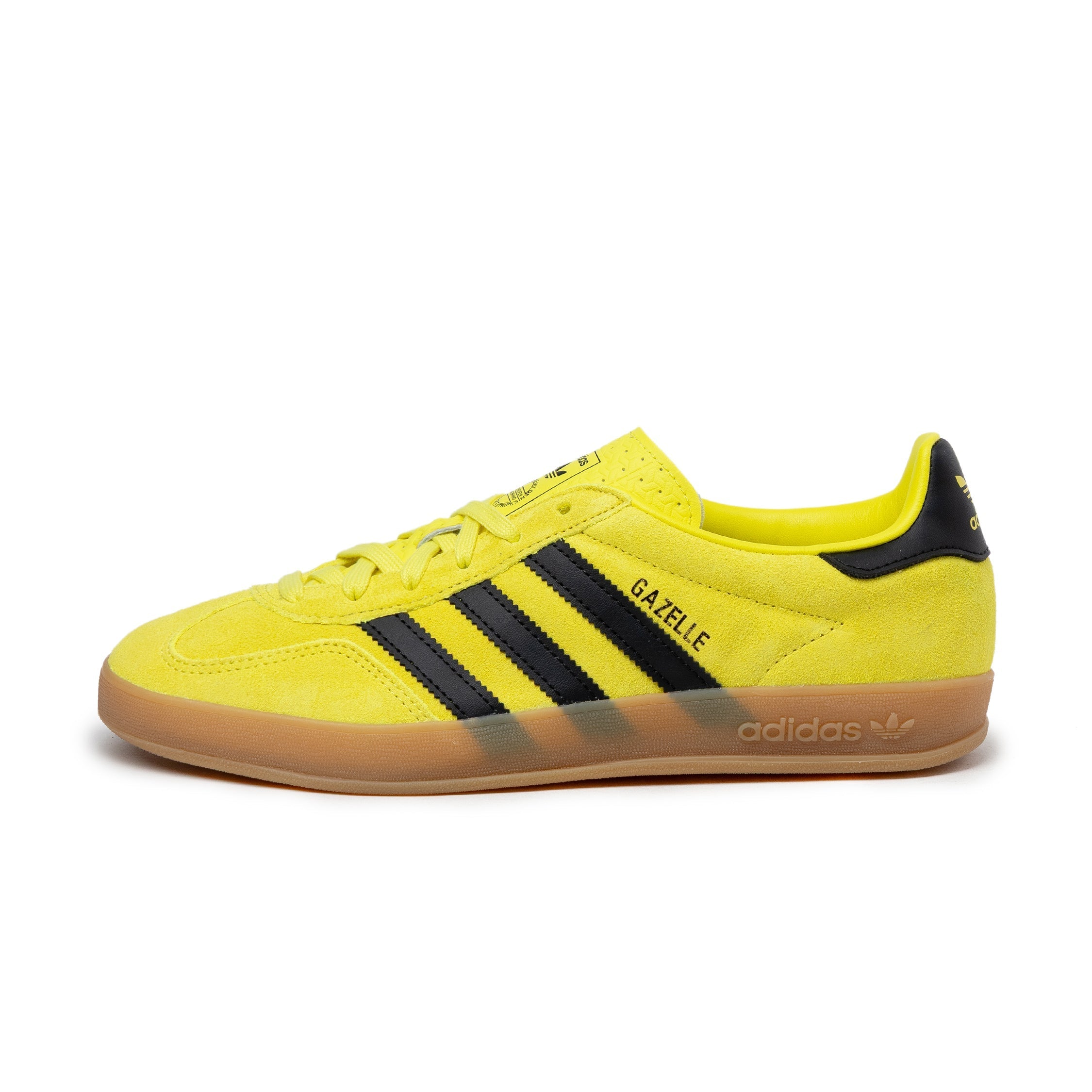 Gazelle Indoor