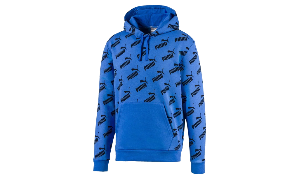 Amplified Fleece Hoodie "Palace Blue" 597247 41