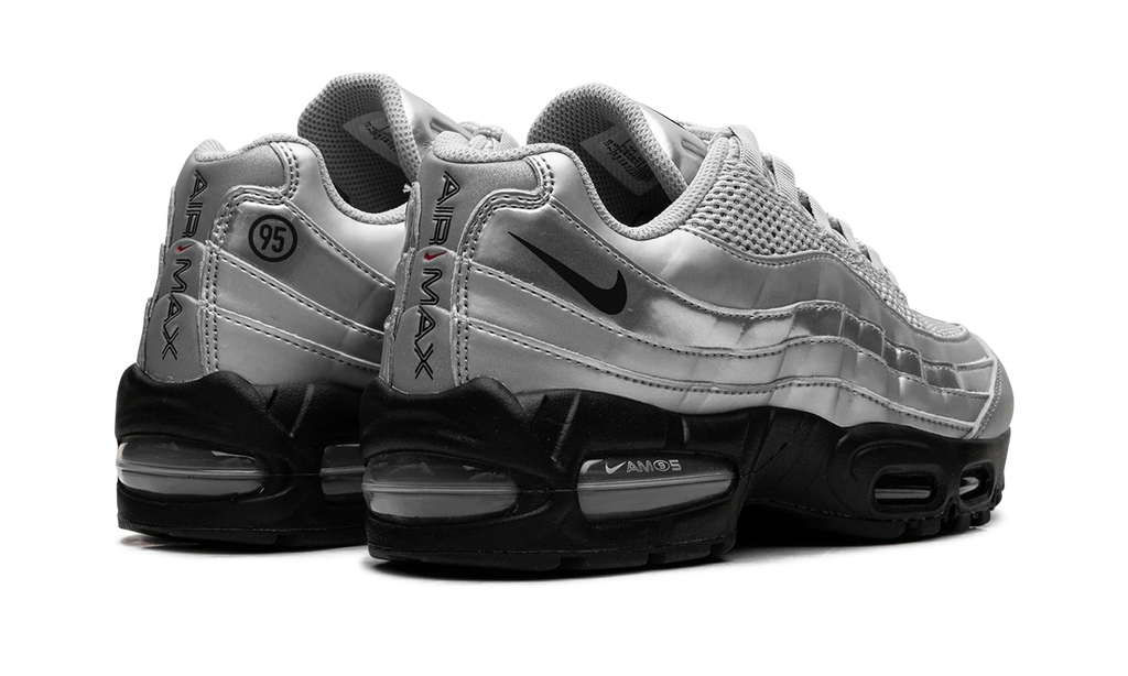 Nike Air Max 95 "Total 90 - Metallic Silver" IB6830 002