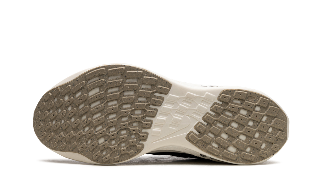 PEGASUS TURBO NEXT NATURE WMNS"Black Sail" DM3414 001