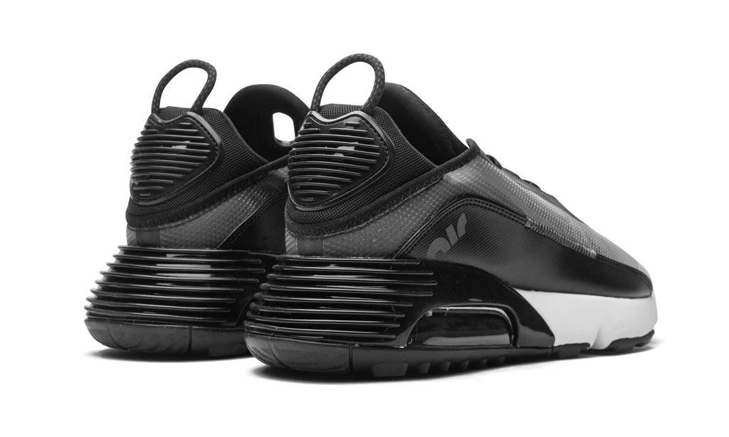 AIR MAX 2090 "Black / Wolf Grey" CW7306 001