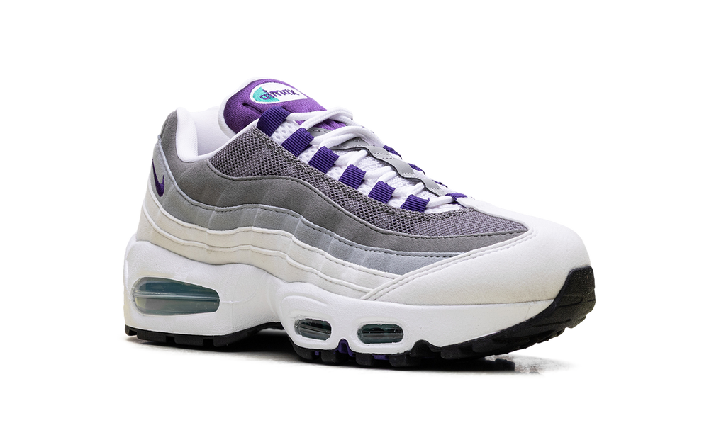 Air Max 95 WMNS"Grape" HJ5996 100
