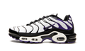 Air Max Plus "Persian Violet" DB0682 100