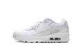 Air Max 90 GS "White Metallic Silver" HF6358 102