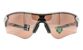 Radarlock Path (A) Sunglasses "Cool Grey / PRIZM Dark Golf" OO9206 48