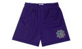 EE BASIC SHORT "SS24 - Purple/Dark Blue" EE732