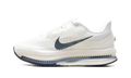 Air Zoom Pegasus Premium WMNS "Sail Off Noir" HQ2593 106