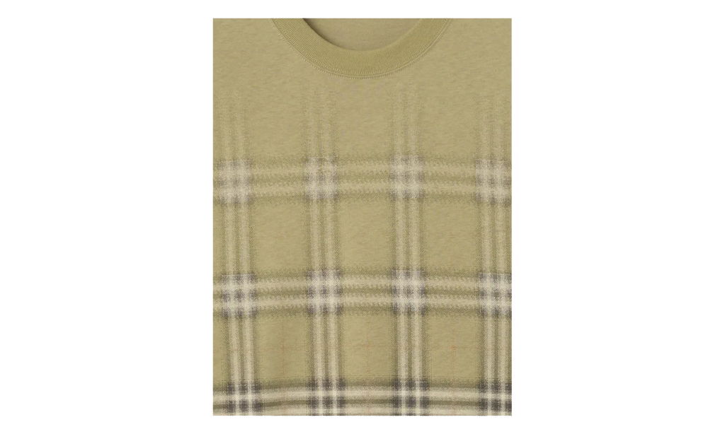 Gradient Check Cotton T-shirt "Glade Green" 8119023