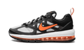 Air Max Genome