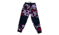 Cole Navin Printed Denali Polartec Pants "Multi" NF0A7WWC99A