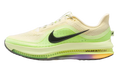 Nike Pegasus Premium "Alabaster" HQ2592 701