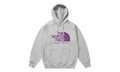 The North Face Purple Label Field Graphic Hoodie "Grey" p0114