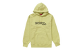 USA Hooded Sweatshirt "Light Sage" FW21SW79 LIGHT SAGE