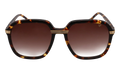 Executive Monte Carlo Edition Acetate "Brown Tortoise / Brown Gradient" MCEX2 0003 9T5