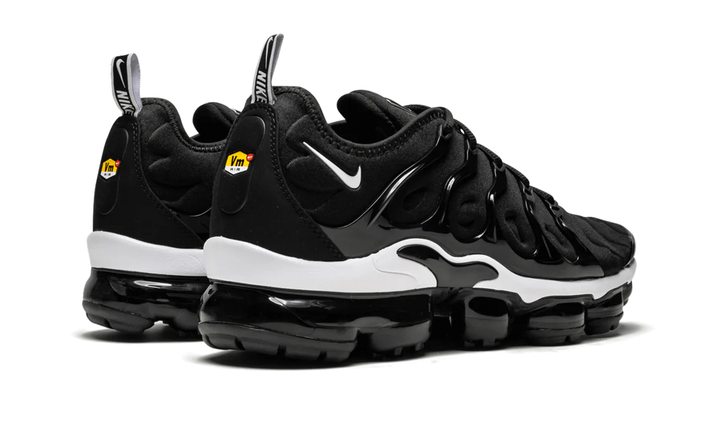 Air Vapormax Plus 924453 011