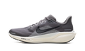 Air Zoom Pegasus 41 "Medium Ash Pure Platinum" FD2722 215