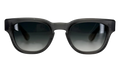Cuntvoluted Sunglasses "18K Gold Plated - Graphite Translucent" CHRM0974