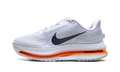 Air Zoom Pegasus Premium WMNS"Airscape" HQ2593 001