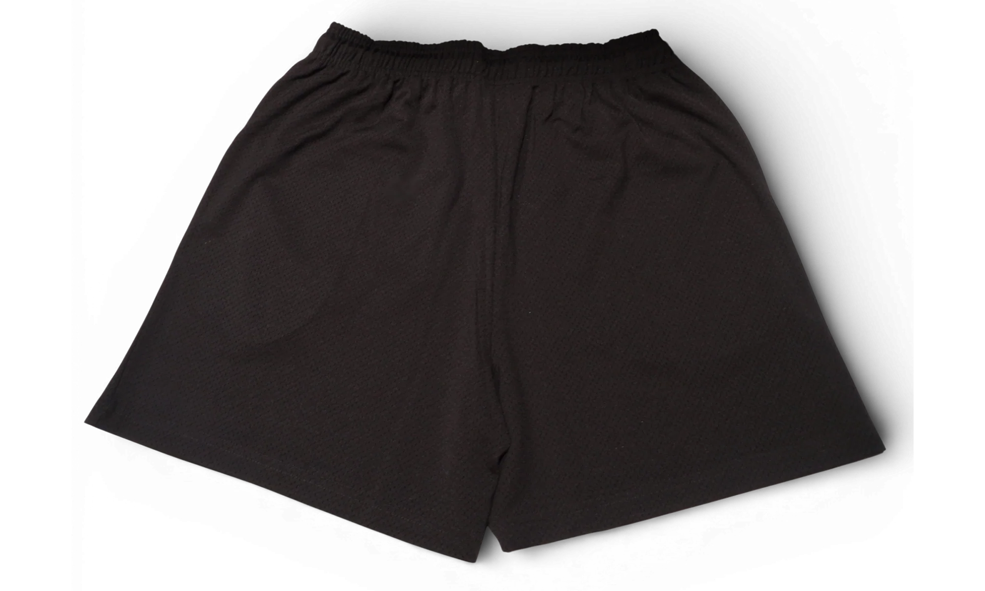 EE BASIC SHORT "Dark Brown/ White" EE467