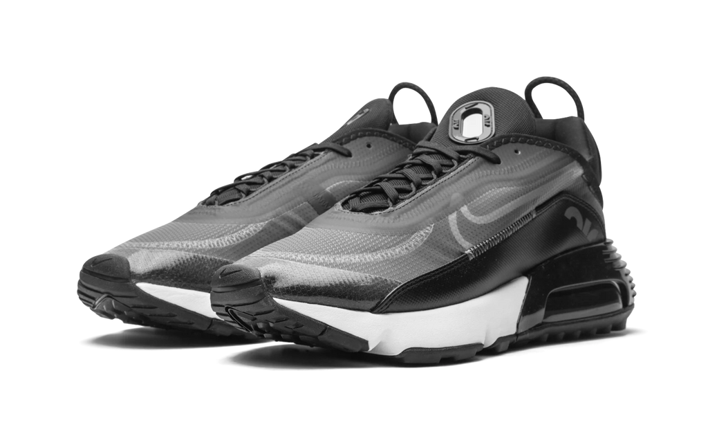 AIR MAX 2090 "Black / Wolf Grey" CW7306 001