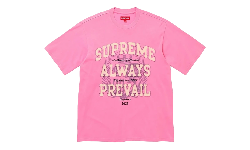 Always Prevail Short-Sleeve Top "FW25 - Pink" SU27058