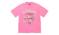 Always Prevail Short-Sleeve Top "FW25 - Pink" SU27058