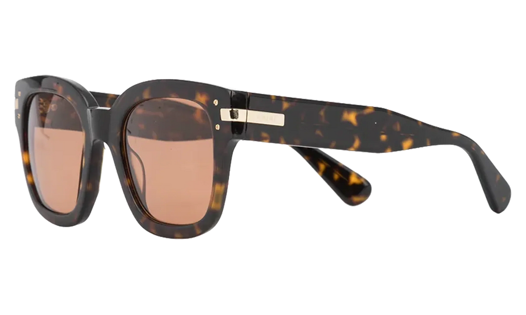 Classic Logo Sunglasses "Brown / Brown / Gold" XA41763AC BBG