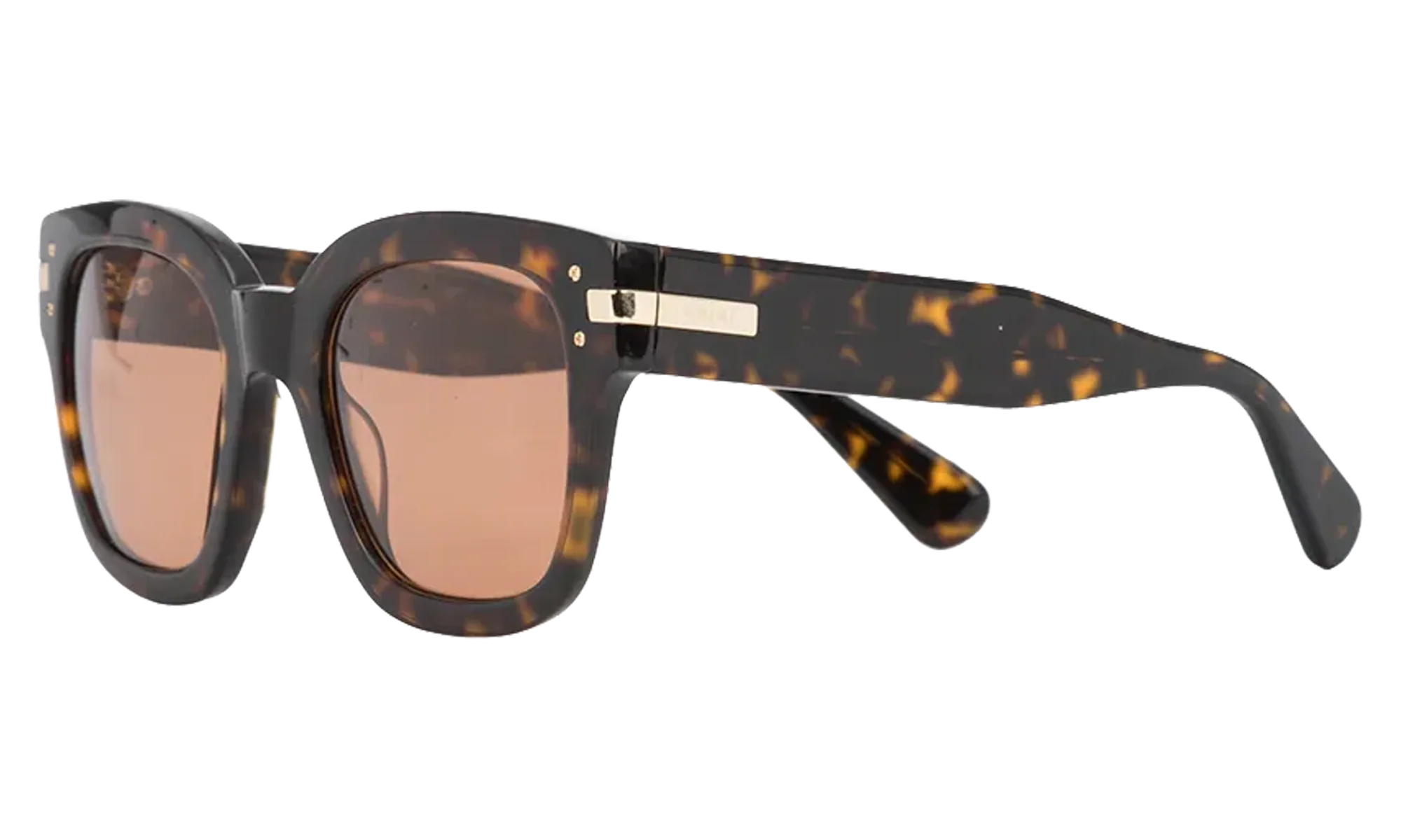 Classic Logo Sunglasses "Brown / Brown / Gold" XA41763AC BBG