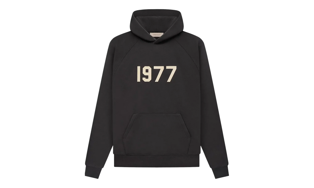 1977 Hooded Sweatshirt "Iron" 192BT212050F