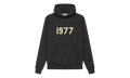 1977 Hooded Sweatshirt "Iron" 192BT212050F