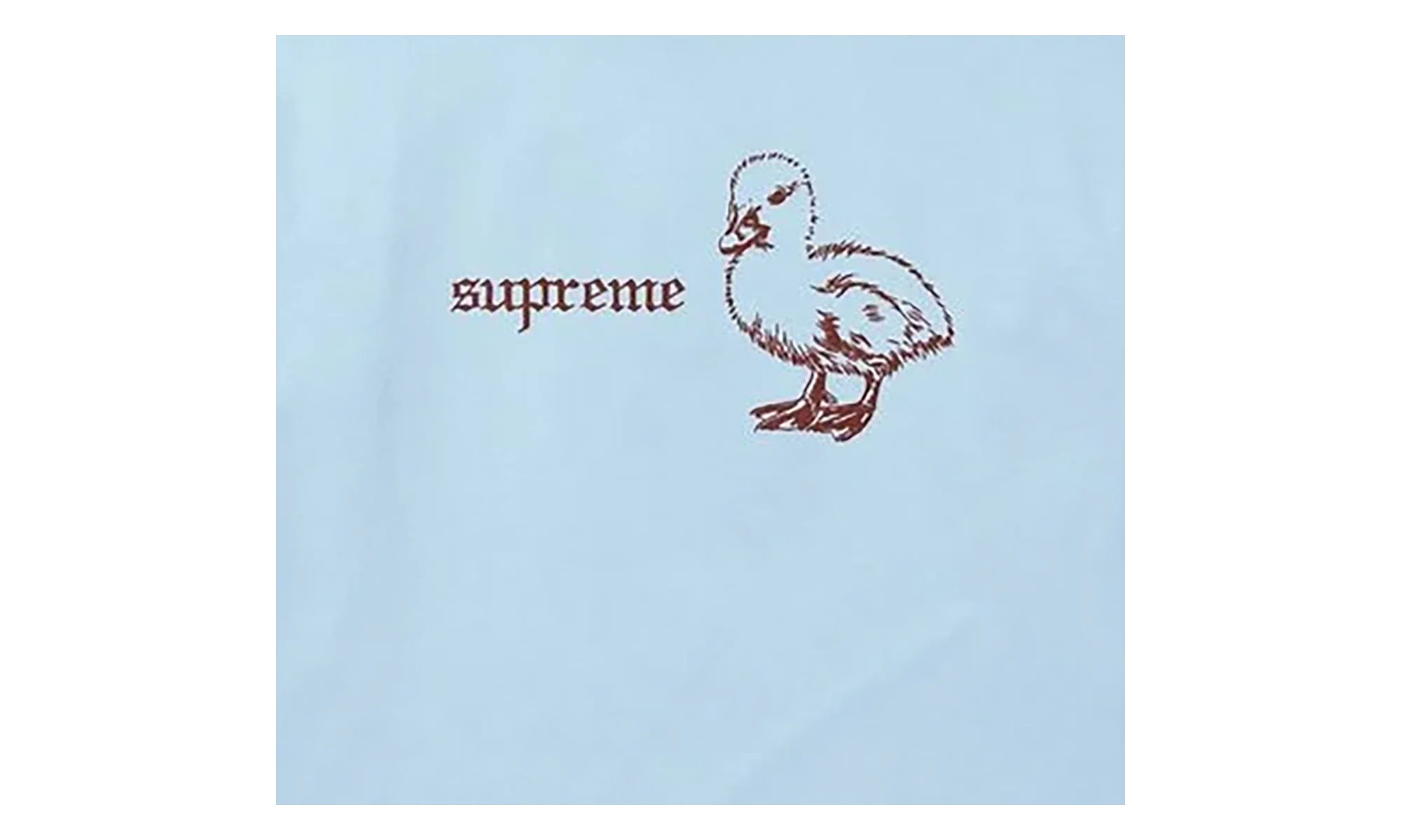 Duck T-Shirt "SS26 - Powder Blue" SU27272