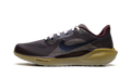 Pegasus 41 Premium "Medium Ash Cave Stone Desert Moss Blue Void" HV4327 299