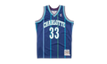 NBA Alonzo Mourning Authentic Jersey "1994 Charlotte Hornets - Dark Purple" AJY4LG19020 CHODKPR94AMO