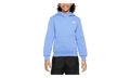 Sportswear Club Fleece Pullover Hoodie GS "Polar / White" FD3000 450