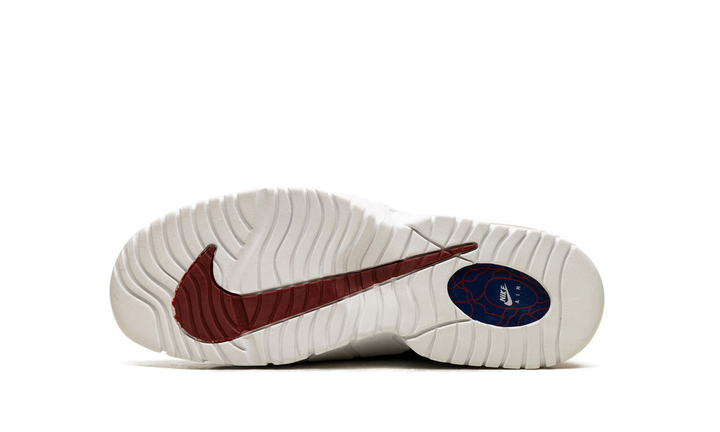 Air Max Penny Le (Gs) 315519 400