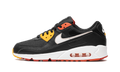 Air Max 90 "Raygun" DJ9250 001