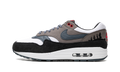 Air Max 1 "Slate Blue" FJ0698 100