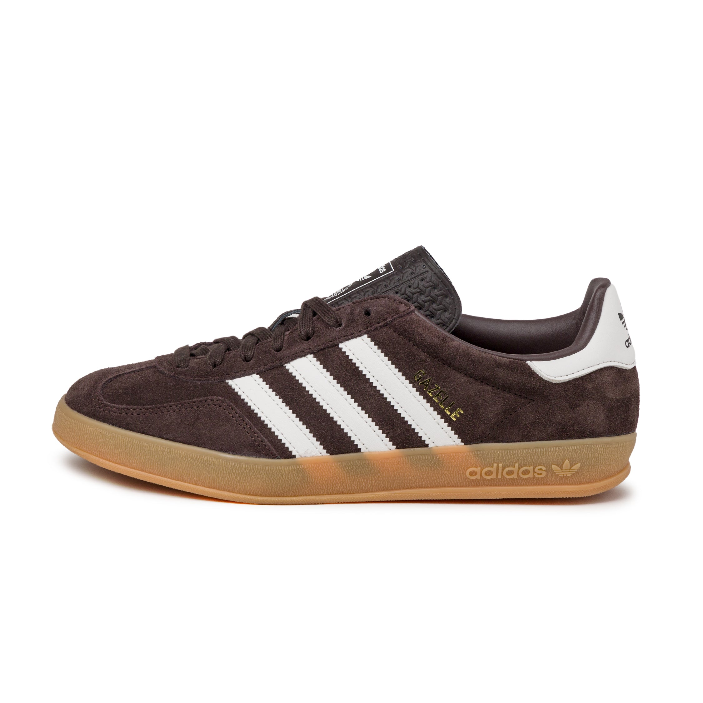 Gazelle Indoor