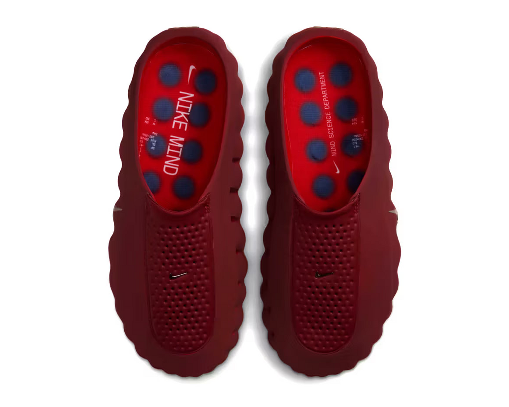 Mind 001 Slide Team Red University Red