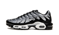 Air Max Plus "Black / Silver" DM0032 003