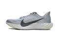ZoomX Pegasus Plus Wmns"Grey" FQ7261-004