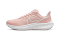 Air Zoom Pegasus 39 WMNS"Pink Oxford" DH4072 601