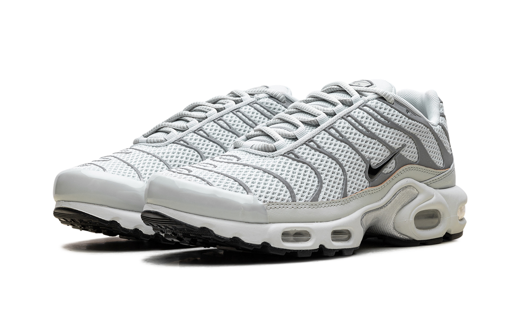 Air Max Plus WMNS"Light Silver" FV8480 002