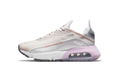 Air Max 2090 "White" CJ4066-014